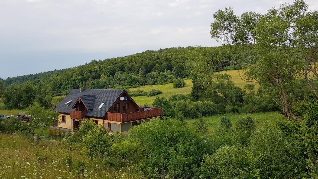 Wilcza Dolina Villa