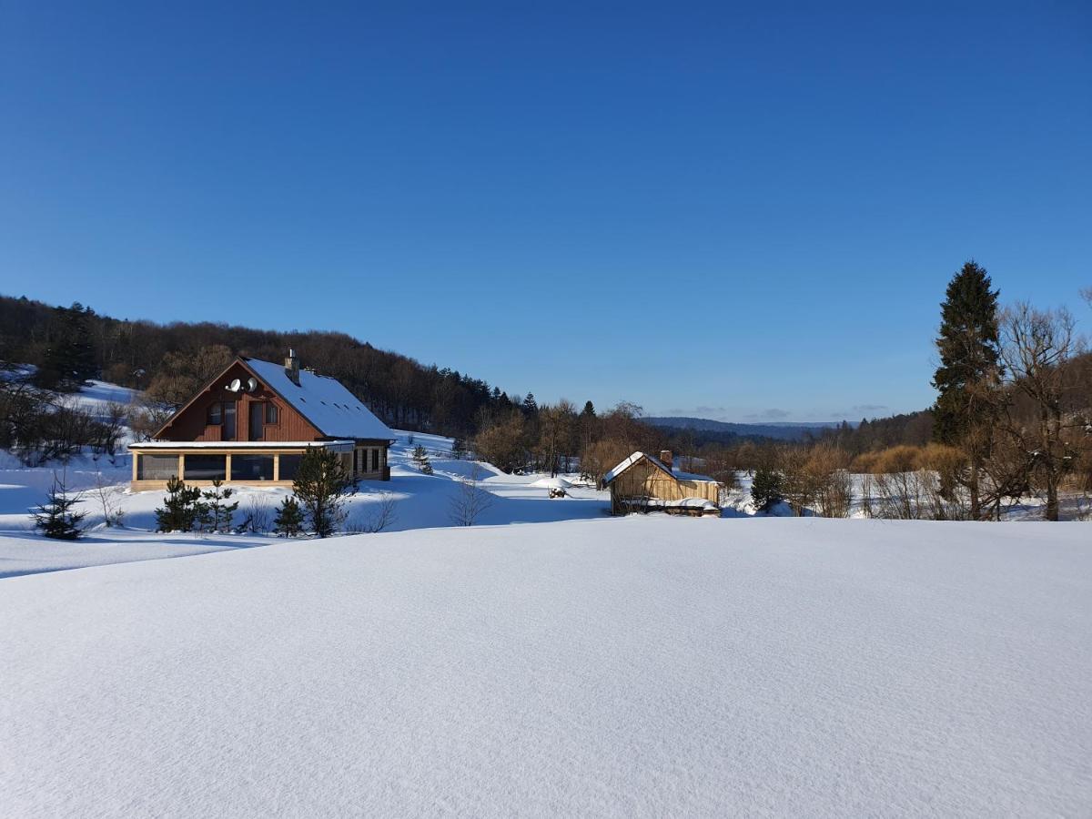 Villa Wilcza Dolina